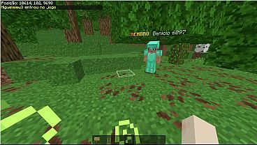 Minecraft servidor bedrock