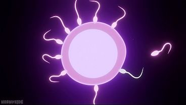 PVZ 2 horas