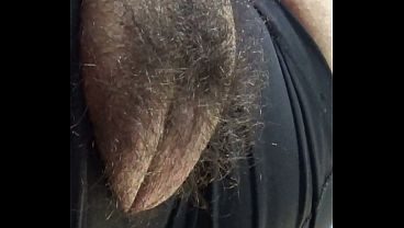 hairy big pussy - peluda