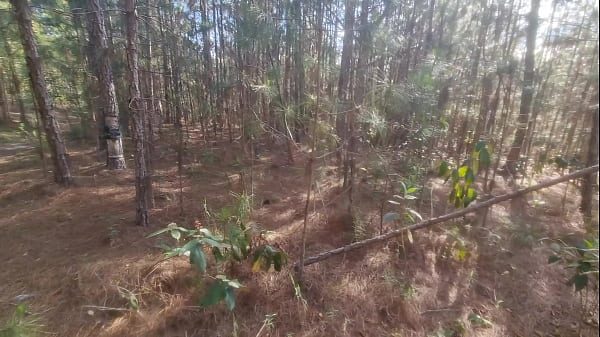 Turista perdido na mata, obrigado a foder uma bruxa, pra nao ser amaldiçoado!!! HALLOWEEN