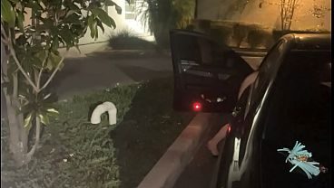 Purrrrrzzzz Montage of Outdoor Orgasms in Public
