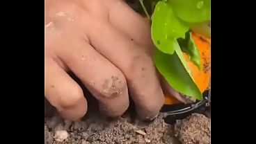 Vídeo de verificación