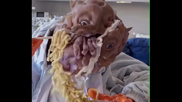 my dog eats ramen