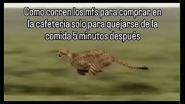 Meme chistoso