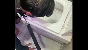 Male findom paypig