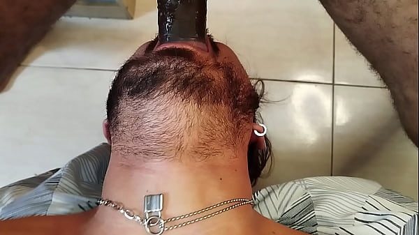 Treinando uma cadelinha e mostrando quem manda. (Prévia)