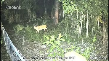 Verification video