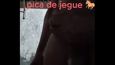 Parece pica de jegue mesmo