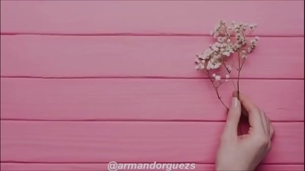 Vídeo de verificación