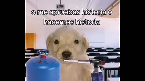 Me aprueba o me aprueba