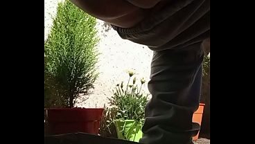 Regando las plantas