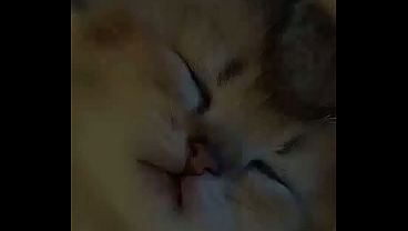 El Gaton