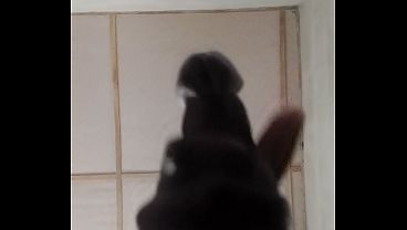 cock needs pussy