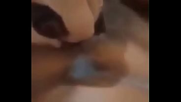 Hotwife faz corno cuckold gozar falando putarias pra ele