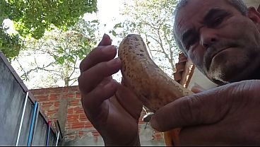 Amo picas de todos os tamanhos e grossuras Que venham aos milhares todos os dias