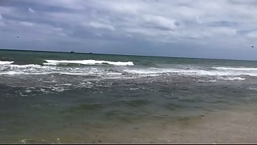 AMAZING OCEAN