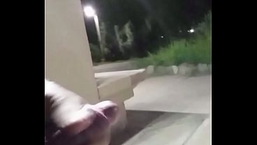 Trabajando en Pelotas