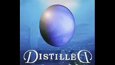 Distilled-Face in the Crowd