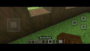Minecraft Building house
