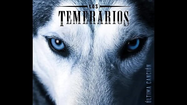 Canción para los machos