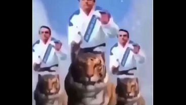 Impossível não gozar vendo esse vídeo maravilhoso do Bolsonaro (meme shitpost)