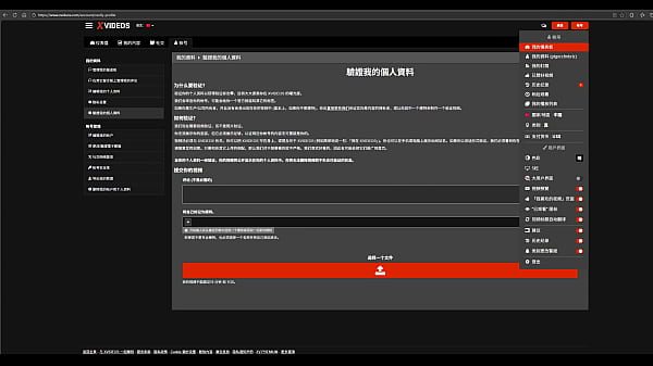 验证视频