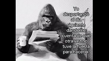 Siempre lo mismo.
