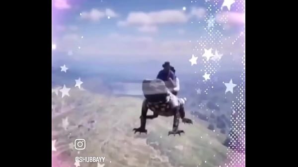 Vídeo de verificación
