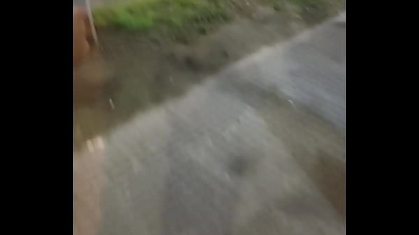 Una mascota me acompaña