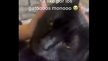 Pikamara