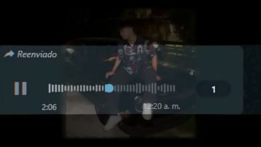 Hola dianita audio de maau