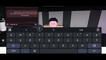 Vídeo de verificación