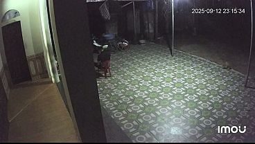 Video xác minh