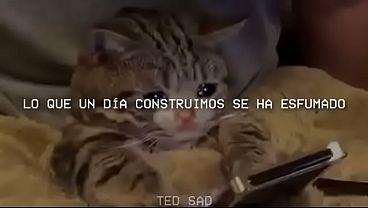 Lo que construimos
