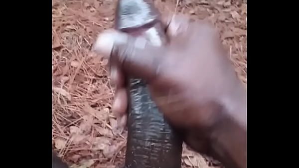 New Years Return Nut