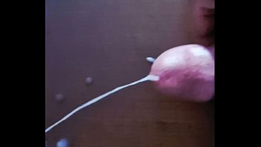 Sperm