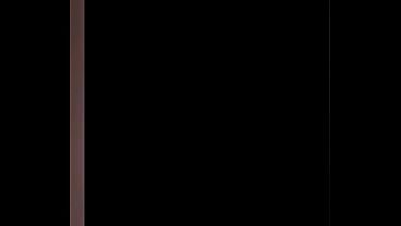 验证视频