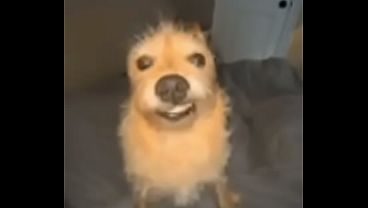 Ropopo ropopo