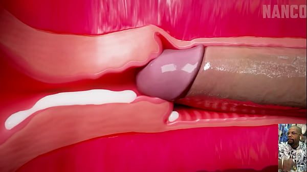 Bald Pussy Chun-Li Getting Her Ass Fucked By Ryu, Missionary Fucking Tight Bald Pussy For Creampie