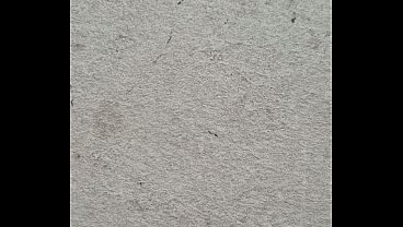 Video de vérification