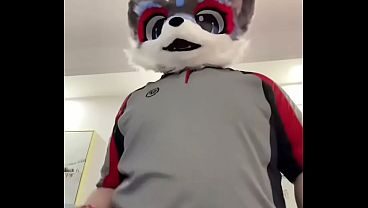全世界最骚的福瑞管理员