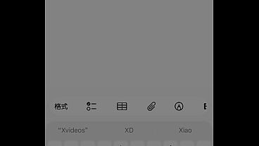 验证视频