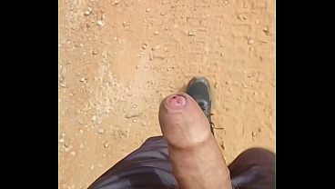Pau solto na trilha