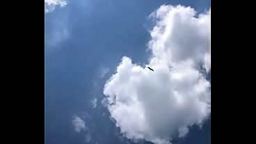 HAWK FLYING HIGH IN THE CLOUDS