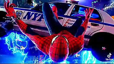 Polyster spider