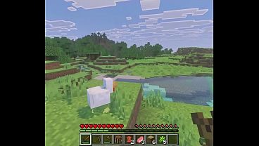 Minecraft but if i take damage i get..railed?