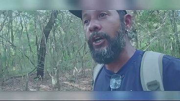 Talking Walking - in the woods - Jan 27, 2026