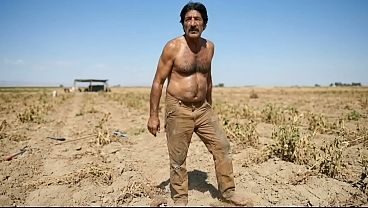 Sakis, the horny greek farmer and the lost tourist - AI Generated