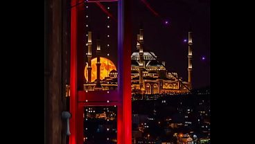 فيديو التحقق