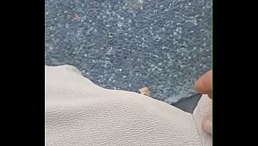 Ilpudro in villa- update #40 - 39587 - Jul 11, 2026